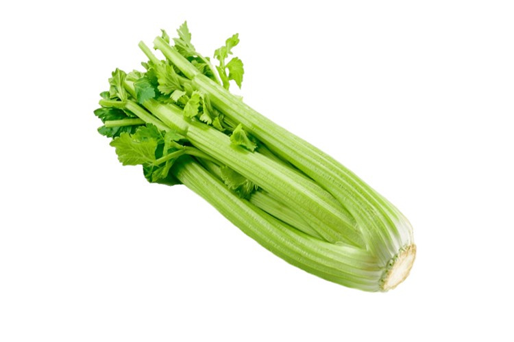 AUSTRALIA CELERY 1PKT